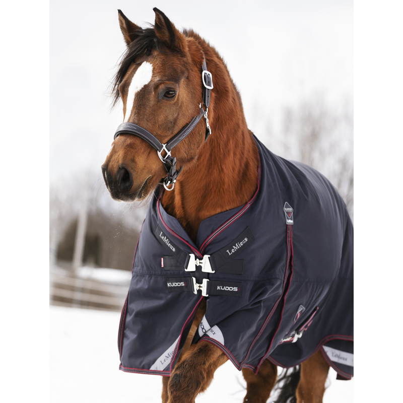 LeMieux Kudos Turnout Rug 200g - Navy-2