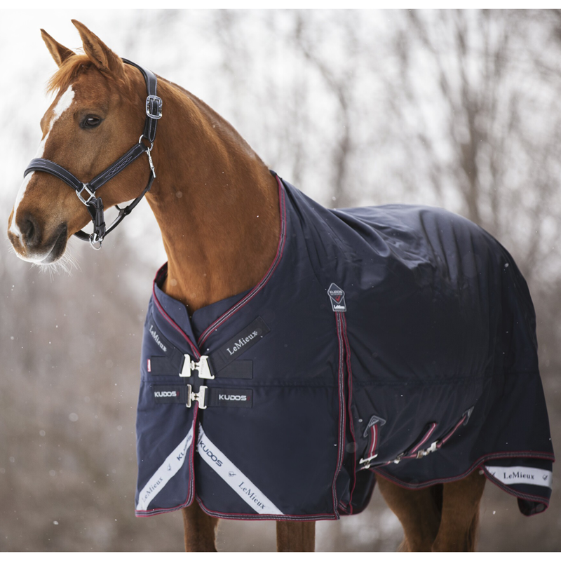 LeMieux Kudos Turnout Rug 350g - Navy-1