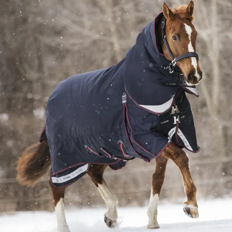LeMieux Kudos Turnout Rug 350g - Navy