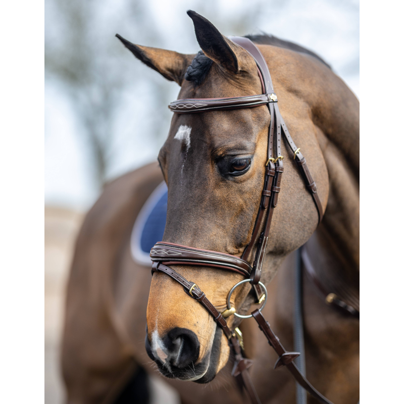 LeMieux Kudos Competition Flash Bridle - Havana - SAMPLE -4