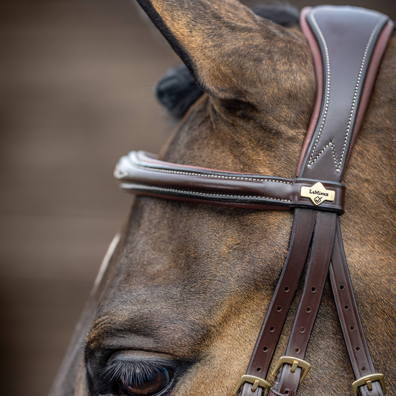 LeMieux Kudos Competition Flash Bridle - Havana - SAMPLE -3