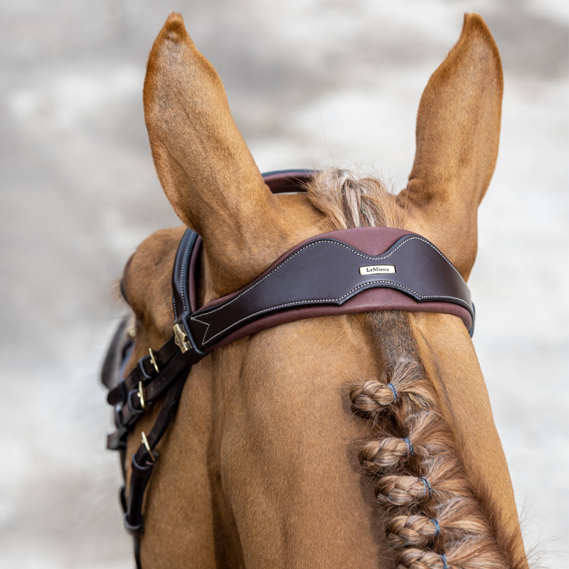 LeMieux Kudos Competition Flash Bridle - Havana - SAMPLE -2