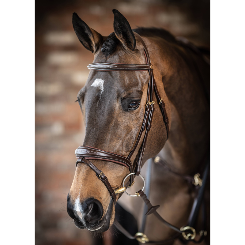 LeMieux Kudos Competition Flash Bridle - Havana - SAMPLE -1