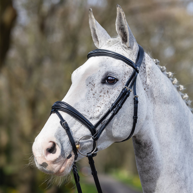 LeMieux Kudos Competition Flash Bridle - Black - SAMPLE-4