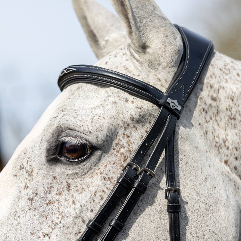 LeMieux Kudos Competition Flash Bridle - Black - SAMPLE-3