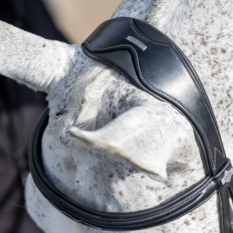 LeMieux Kudos Competition Flash Bridle - Black - SAMPLE-2