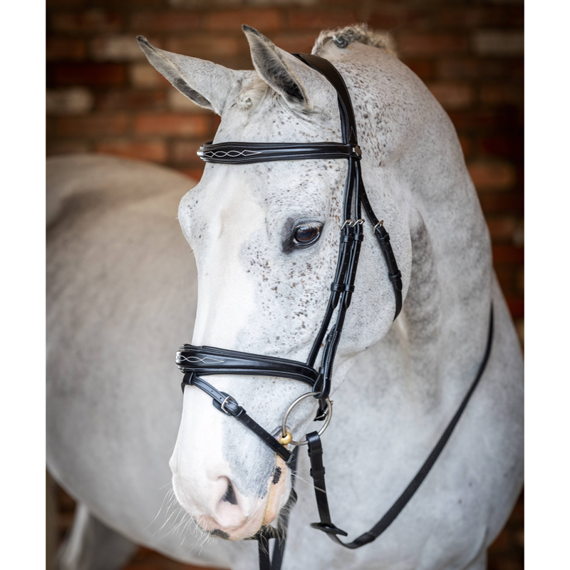LeMieux Kudos Competition Flash Bridle - Black - SAMPLE-1