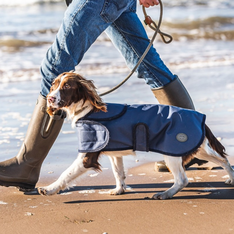Le Chameau Dog Rug Coat - Bleu Foncé-1