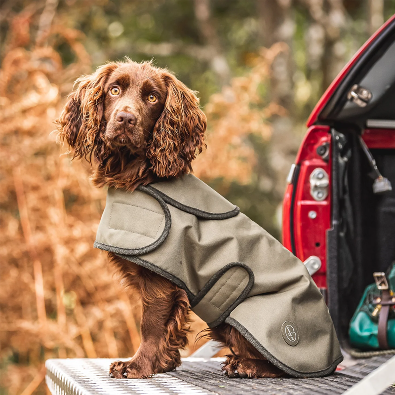 Le Chameau Dog Rug Coat - Vert Chameau-1