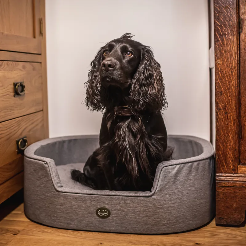 Le Chameau Dog Bed - Grey-1