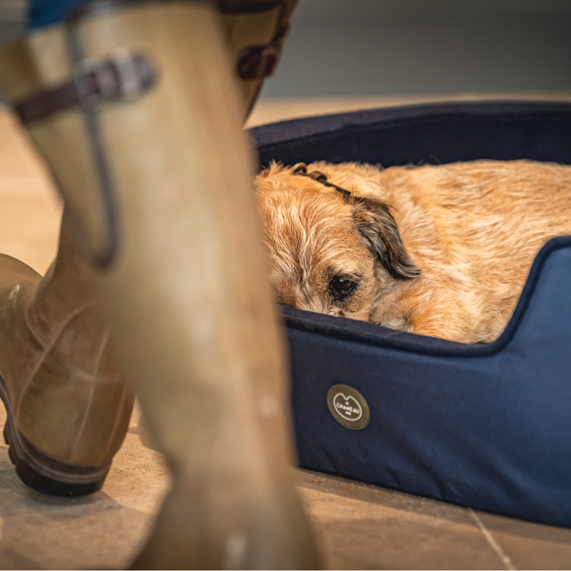 Le Chameau Dog Bed - Bleu Foncé-2