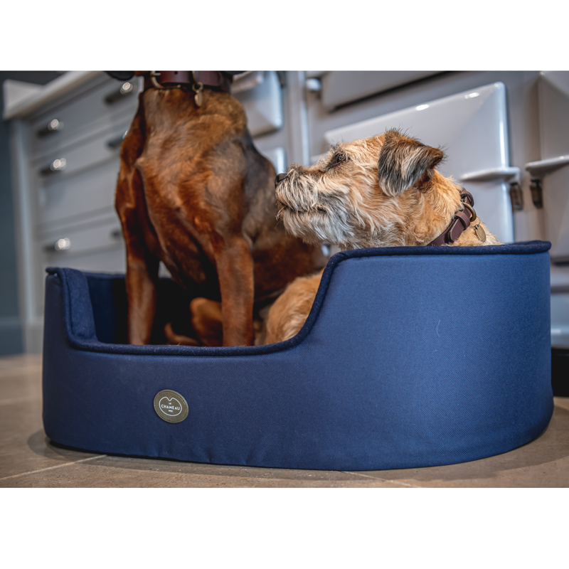 Le Chameau Dog Bed - Bleu Foncé-3