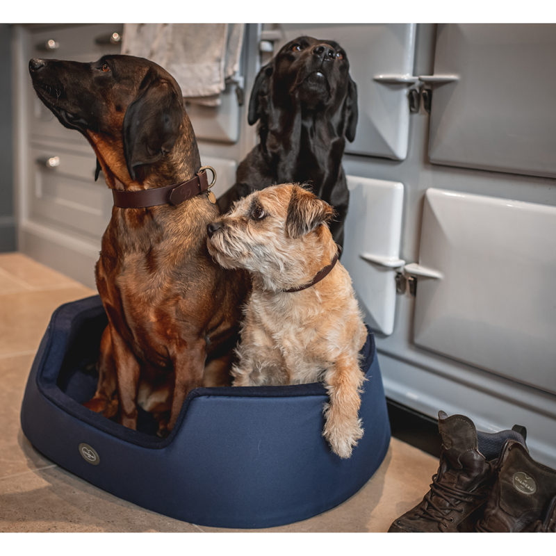Le Chameau Dog Bed - Bleu Foncé-4