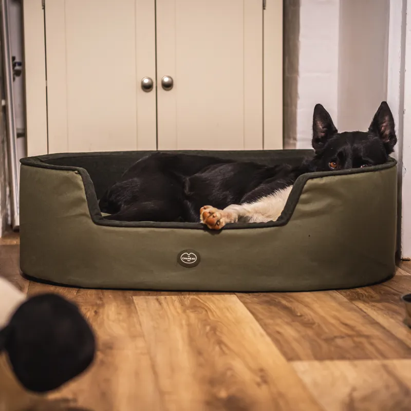 Le Chameau Dog Bed - Vert Chameau-2