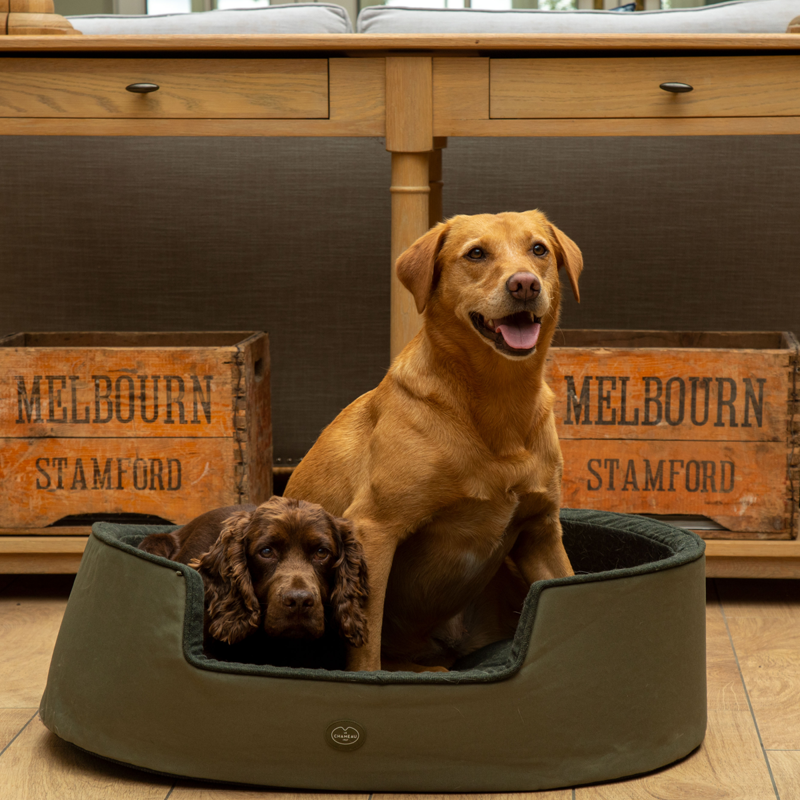 Le Chameau Dog Bed - Vert Chameau-3