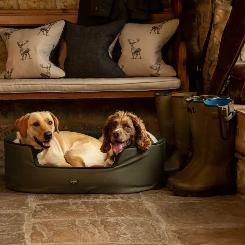 Le Chameau Dog Bed - Vert Chameau-4