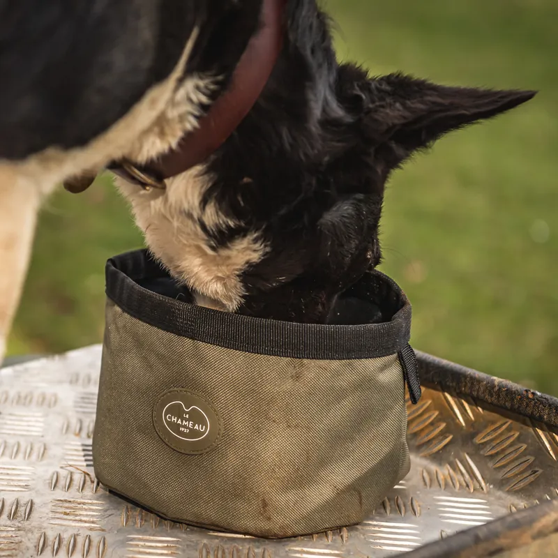 Le Chameau Portable Dog Bowl - Vert Chameau-2