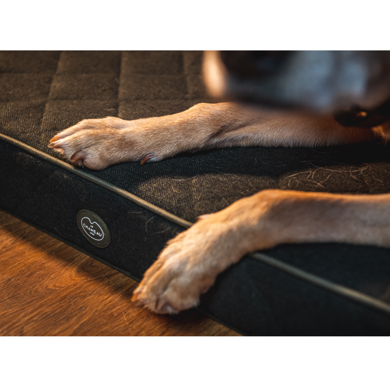 Le Chameau Cushion Dog Bed - Vert Chameau-3