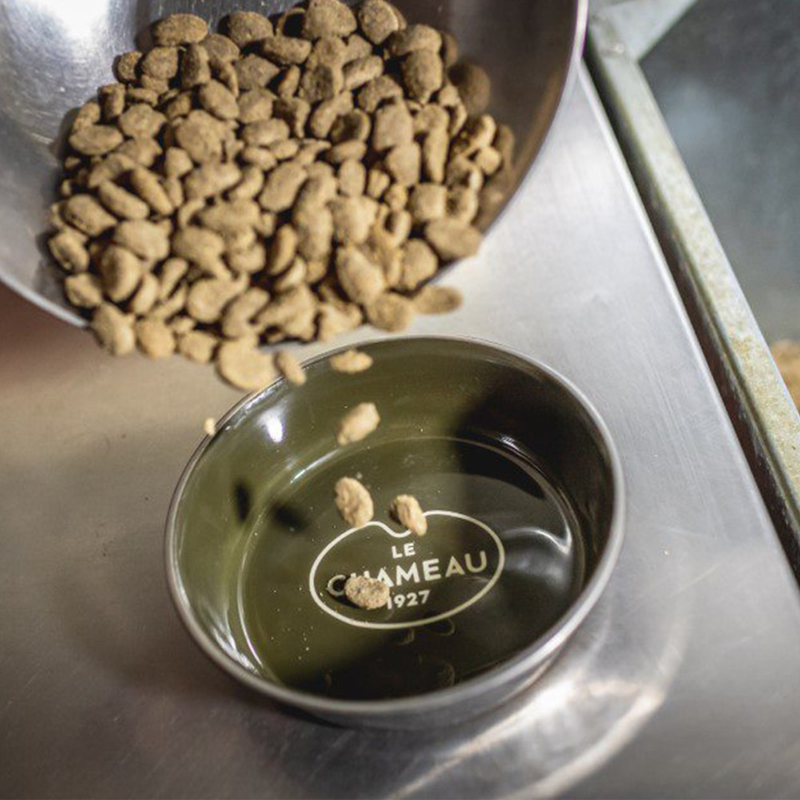 Le Chameau Stainless Steel Dog Bowl Small - Vert Chameau-2