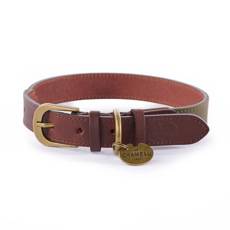 Le Chameau Waxed Cotton/Leather Dog Collar-2