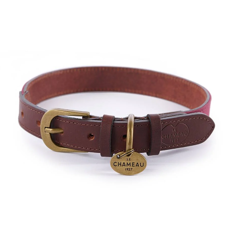 Le Chameau Waxed Cotton/Leather Dog Collar-1