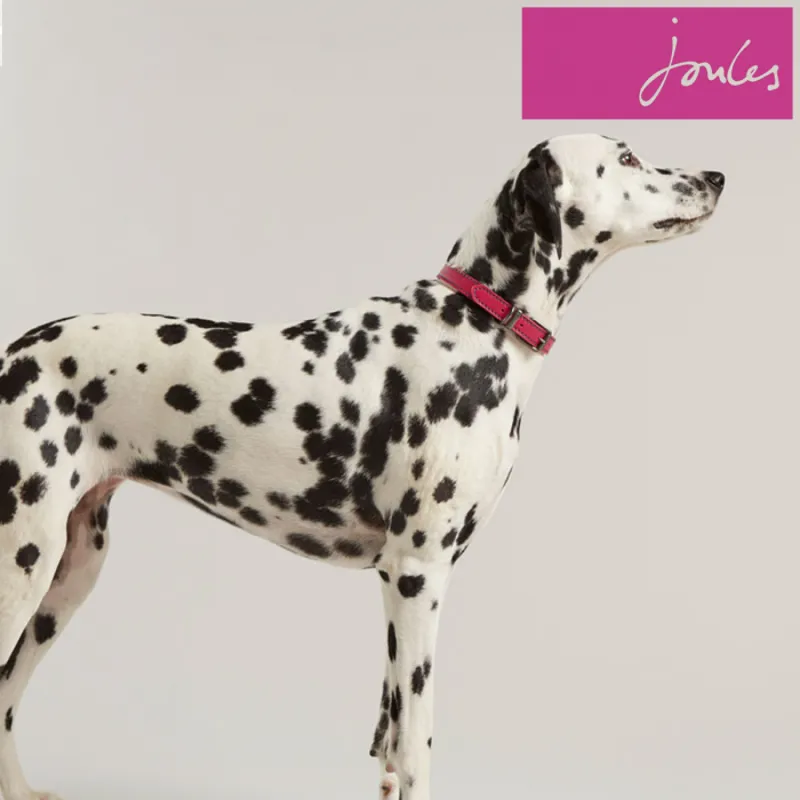 Joules Leather Dog Collar - Pink