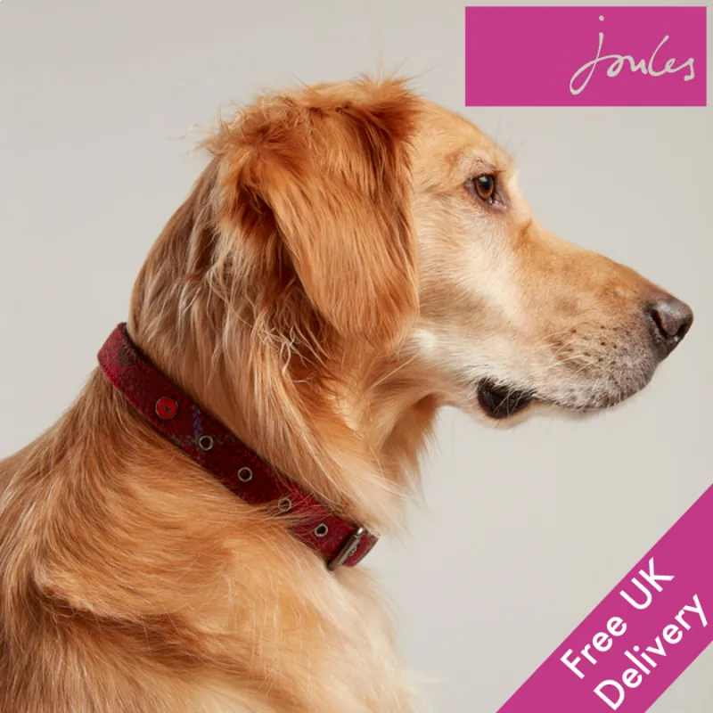 Joules Leather Dog Collar - Red Tweed