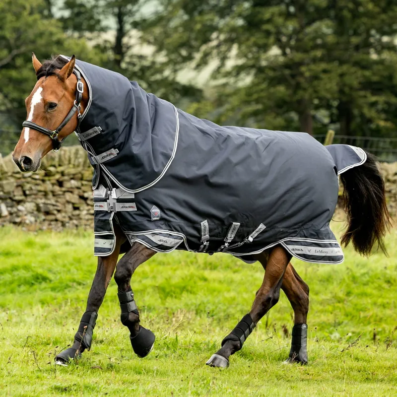 LeMieux Arika Storm-Tek 100g Detachable Neck Turnout Rug - Navy