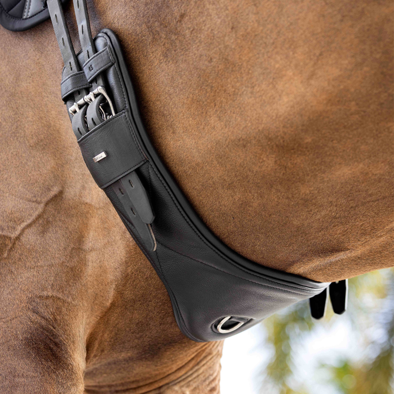 LeMieux Arika Contoured Dressage Girth - Black-3