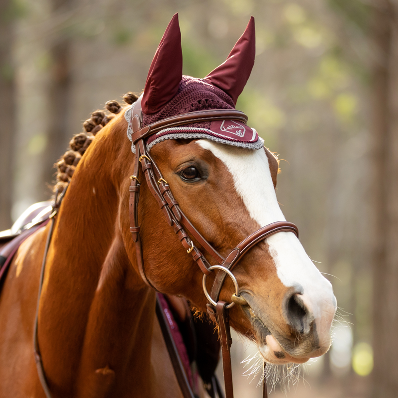 LeMieux Classic Lycra Fly Hood - Rioja-1