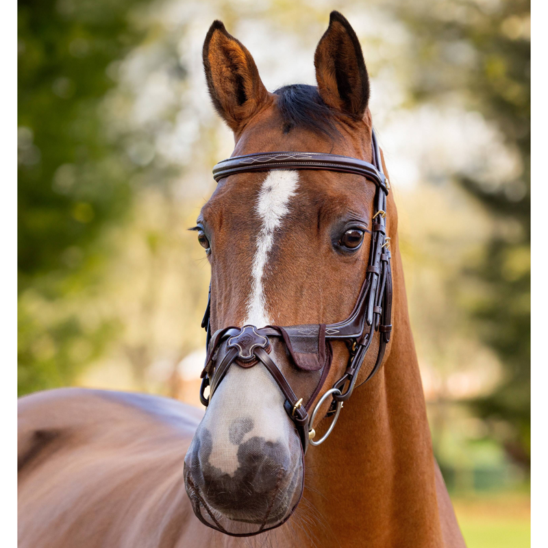 LeMieux Comfort Shield Grackle Nose Filter 2 Pack - Brown-1