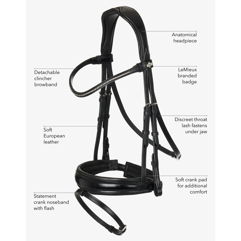 LeMieux Kudos Classic Dressage Bridle - Brown - SAMPLE-5