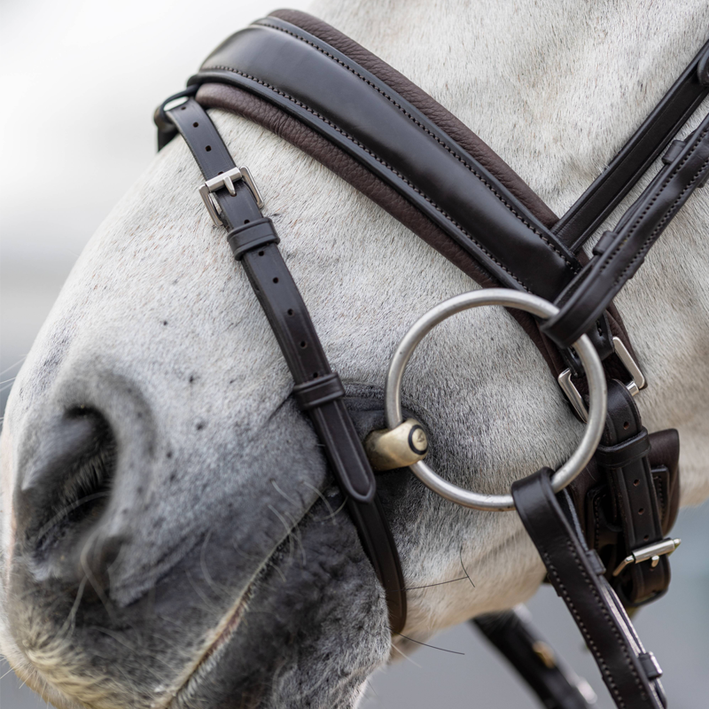 LeMieux Kudos Classic Dressage Bridle - Brown - SAMPLE-4