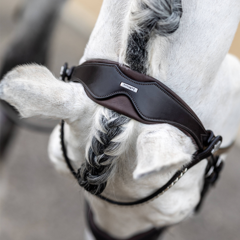 LeMieux Kudos Classic Dressage Bridle - Brown - SAMPLE-3