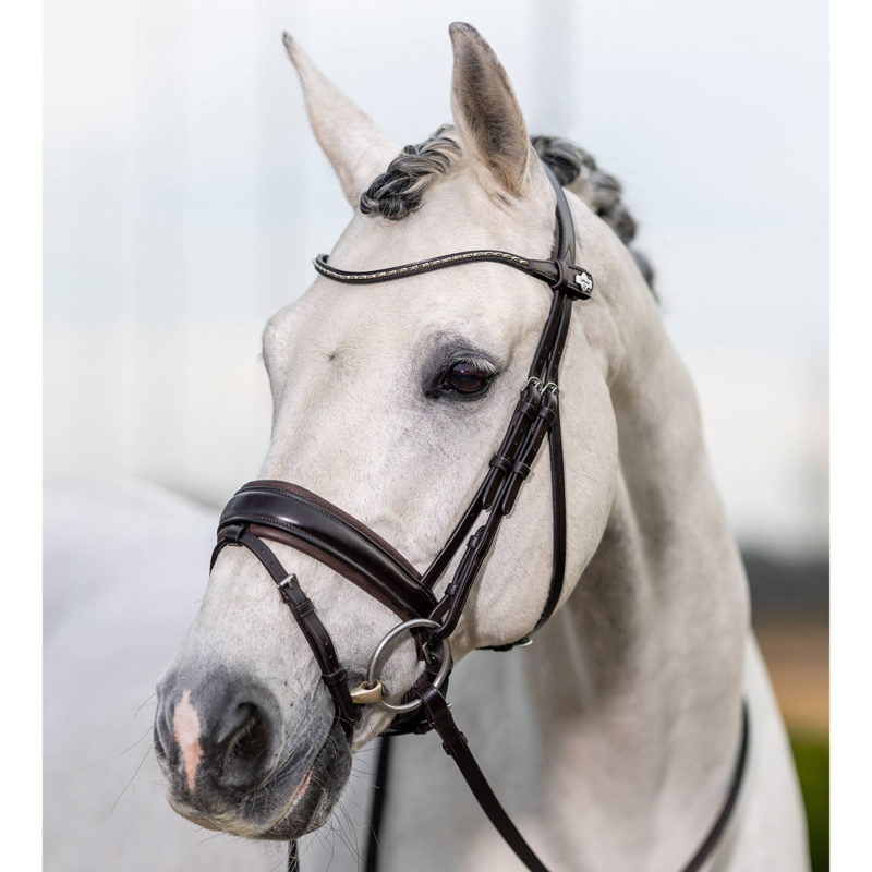 LeMieux Kudos Classic Dressage Bridle - Brown - SAMPLE-2