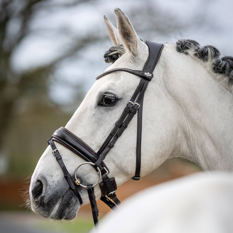 LeMieux Kudos Classic Dressage Bridle - Brown - SAMPLE-1