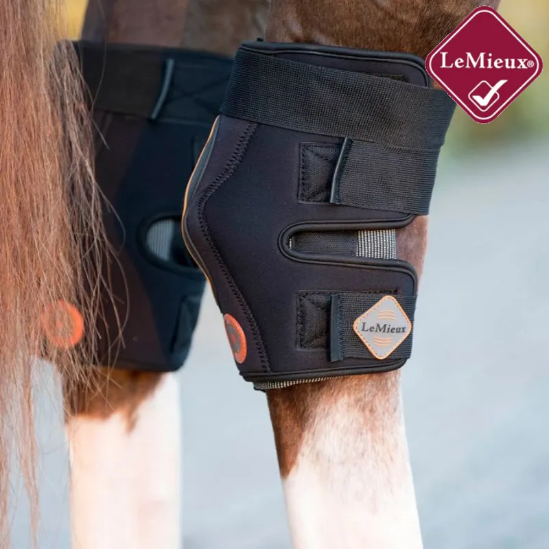 LeMieux Conductive Magnotherapy Hock Boots -1