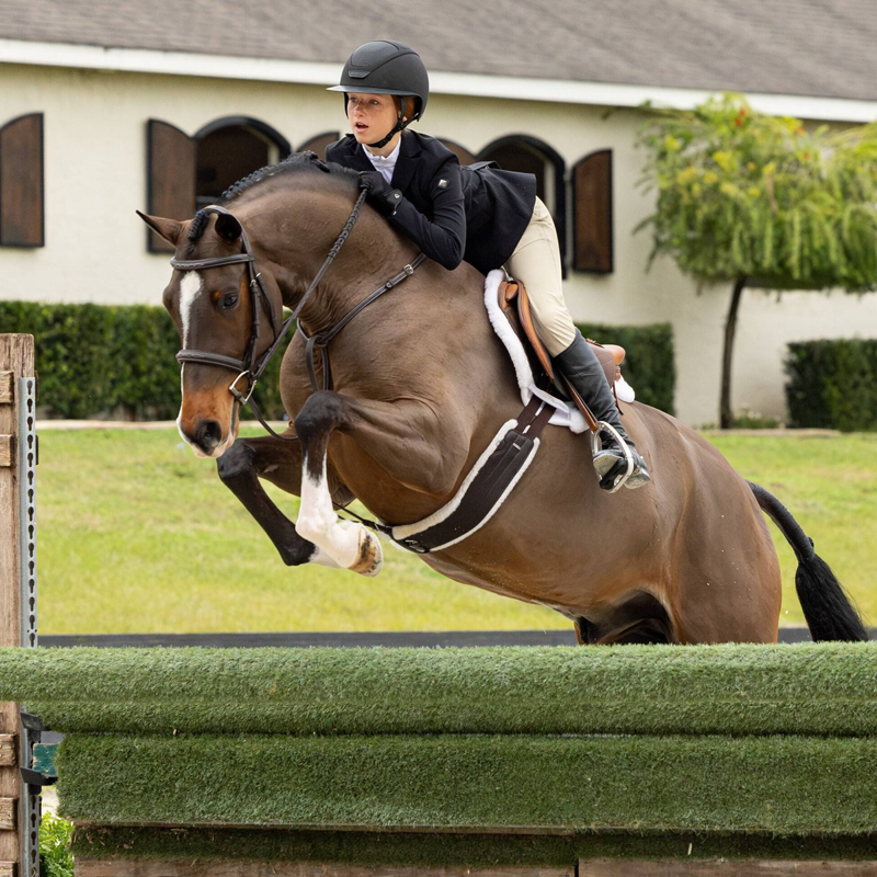 LeMieux Merino+ Hunter Saddle Pad - White/White-1