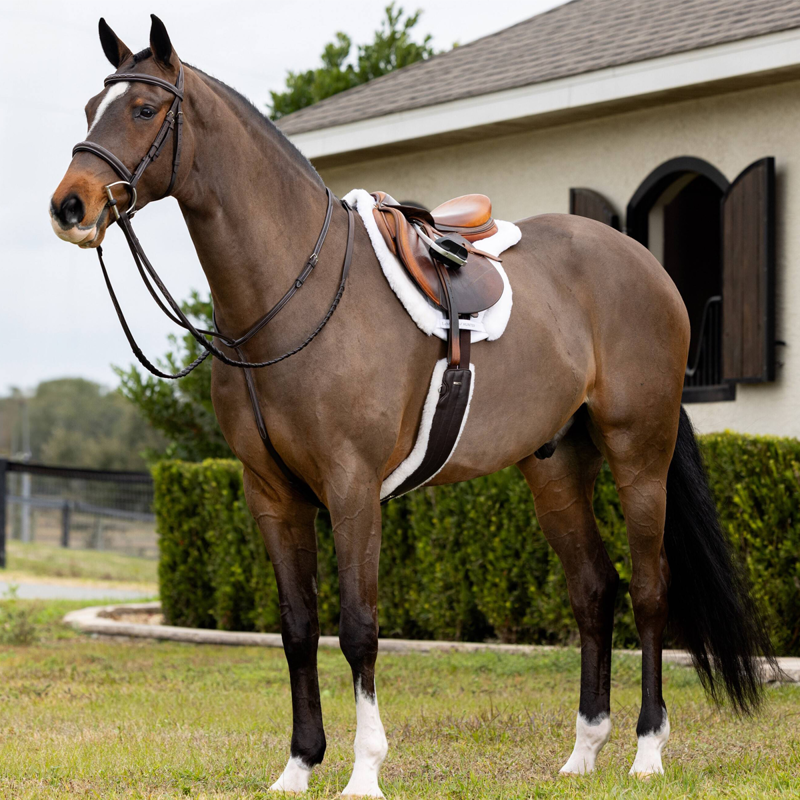 LeMieux Merino+ Hunter Saddle Pad - White/White-2