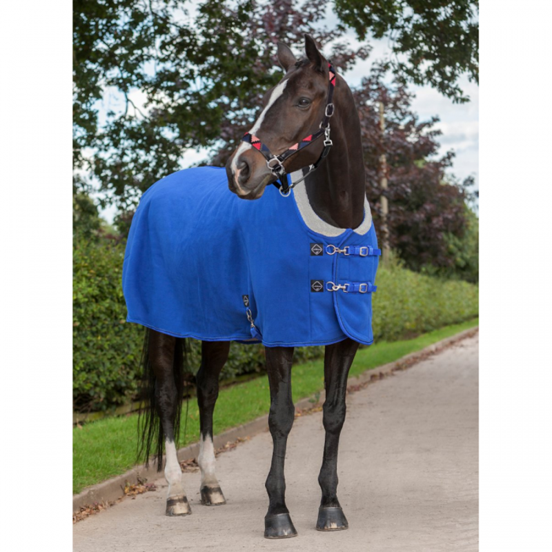 LeMieux Four Seasons Rug -5