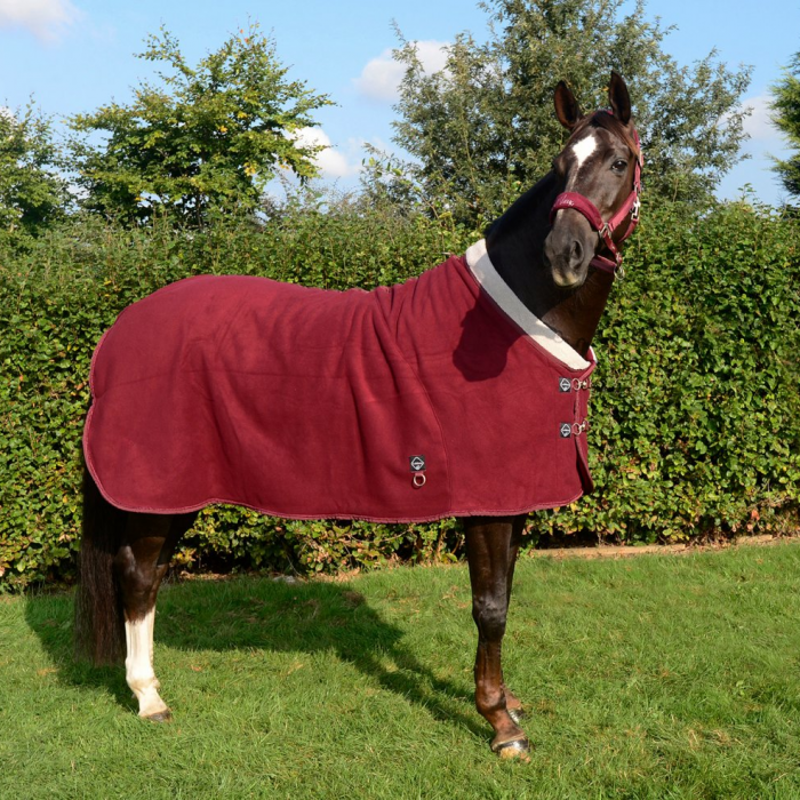 LeMieux Four Seasons Rug -9