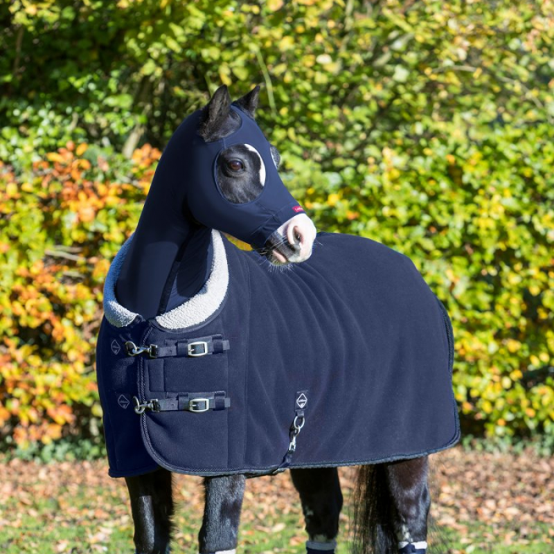 LeMieux Four Seasons Rug -6