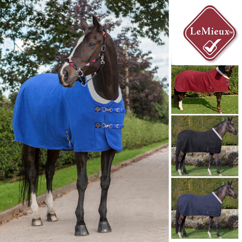 LeMieux Four Seasons Rug -4