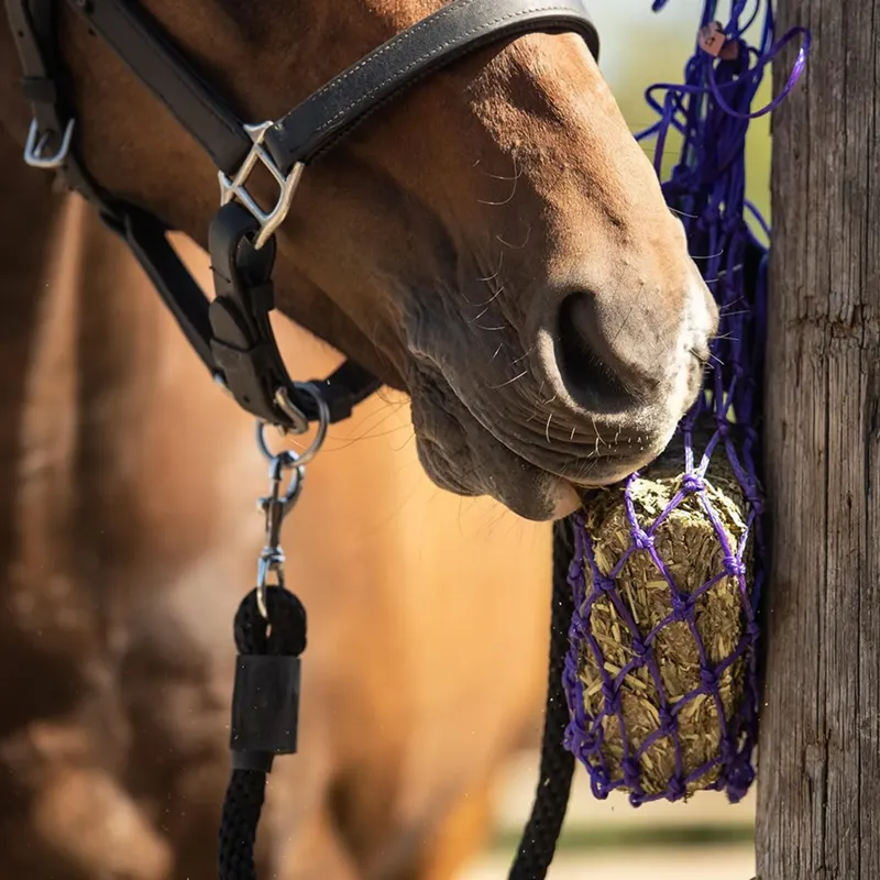 Equilibrium Litemunch - 1kg-2