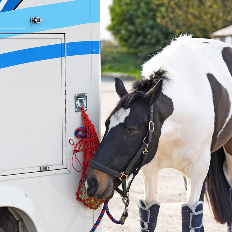 Equilibrium Litemunch - 1kg x 5 pack -2