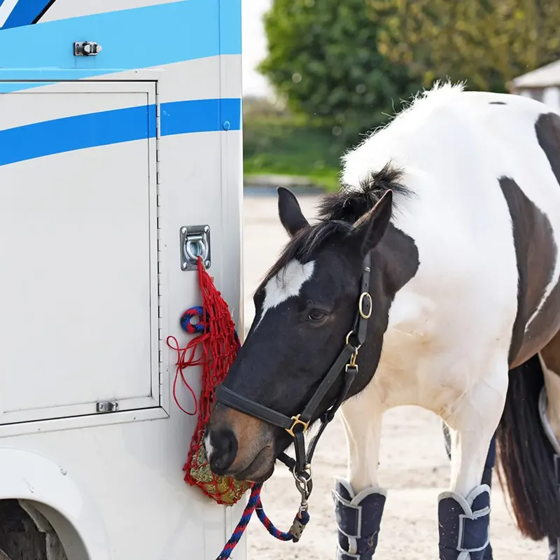 Equilibrium Litemunch - 1kg-1