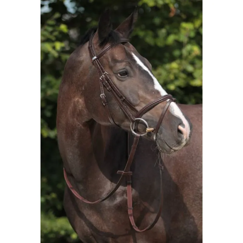 Stubben Leitrim Bridle With Combined Noseband - Ebony 