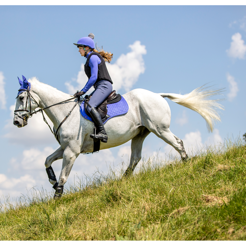LeMieux Suede Close Contact Square - Bluebell -3