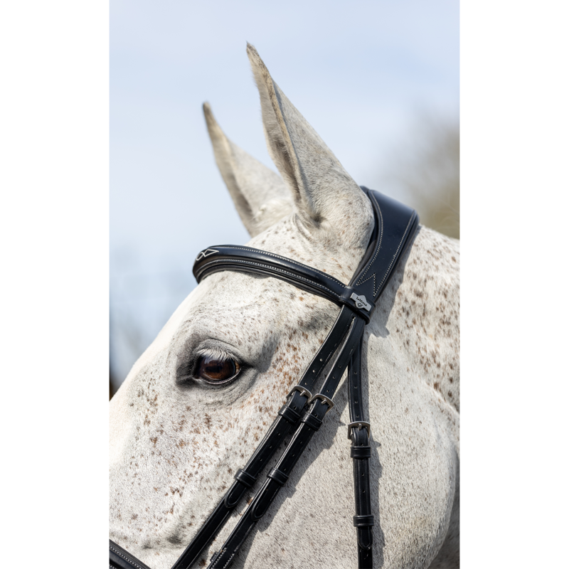 LeMieux Competition Flash Bridle - Black-2
