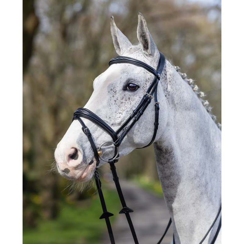LeMieux Competition Flash Bridle - Black-1